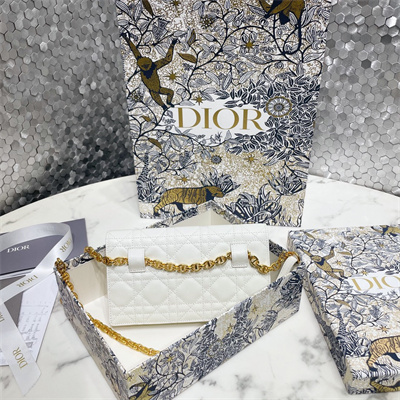 CD Caro Belt Pouch With Chain Supple Cannage Calfskin Gold Tone Metal White