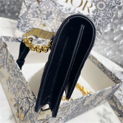 CD Caro Belt Pouch With Chain Supple Cannage Calfskin Gold Tone Metal Black