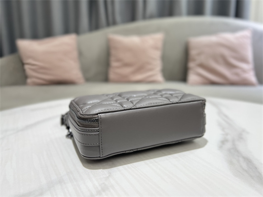 CD Caro Box Bag Macrocannage Calfskin Guncolor Tone Metal Grey