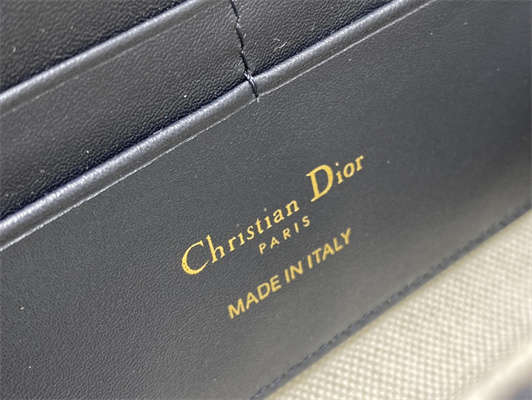 CD Bobby East-West Pouch With Chain Oblique Jacquard