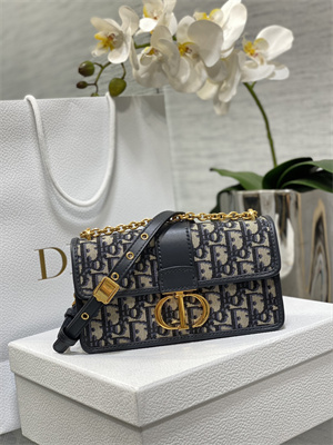 CD 30 Montaigne East-West Bag With Chain Blue Oblique Jacquard