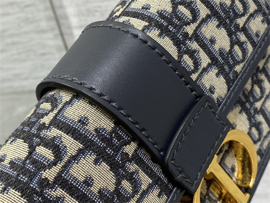 CD 30 Montaigne East-West Bag With Chain Blue Oblique Jacquard