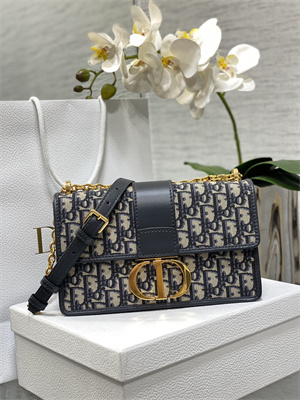 CD 30 Montaigne Chain Bag Blue Oblique Jacquard