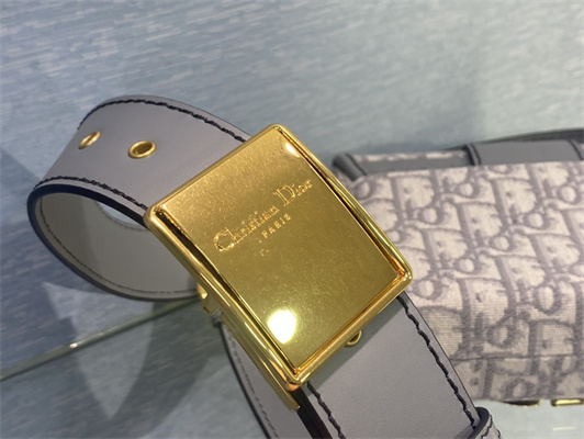 CD 30 Montaigne Box Bag Grey Oblique Jacquard