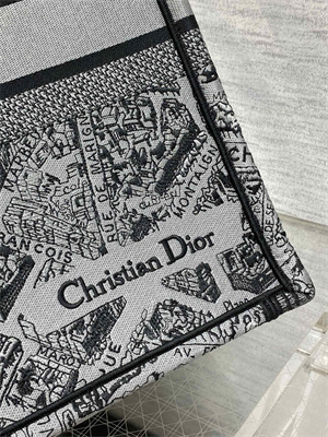CD Large Book Tote Grey and Black Plan de Paris Embroidery