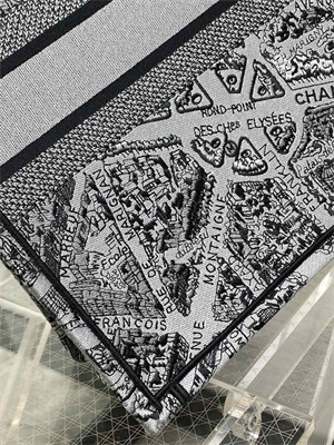 CD Large Book Tote Grey and Black Plan de Paris Embroidery