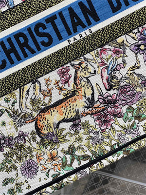 CD Large Book Tote D-Constellation Embroidery White Multicolor