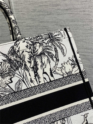 CD Large Book Tote Voyage Toile de Jouy Embroidery White and Black