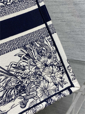 CD Large Book Tote R??ve d’Infini Embroidery White and Blue