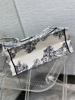 CD Large Book Tote R??ve d’Infini Embroidery White and Blue