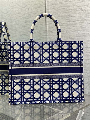 CD Large Book Tote Beige and Blue Macrocannage Embroidery