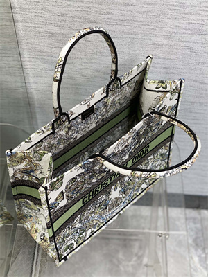 CD Large Book Tote Butterfly Around The World Embroidery White and Green