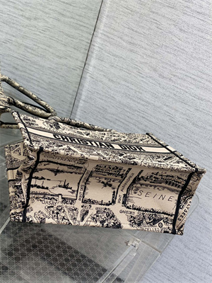 CD Medium Book Tote Beige and Black Plan de Paris Embroidery