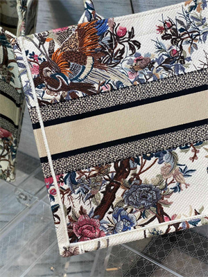 CD Medium Book Tote Jardin d’Hiver Embroidery White Multicolor