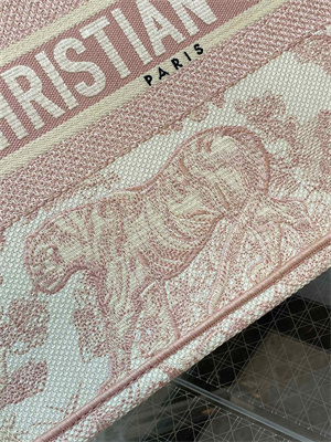 CD Medium Book Tote Toile de Jouy Embroidery Ecru and Pink