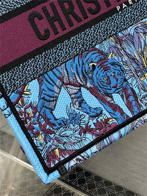 CD Medium Book Tote Voyage Toile de Jouy Embroidery Blue and Multicolor