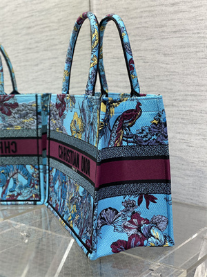CD Medium Book Tote Voyage Toile de Jouy Embroidery Blue and Multicolor