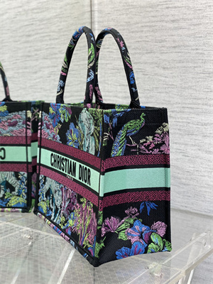 CD Medium Book Tote Voyage Toile de Jouy Embroidery Green and Multicolor