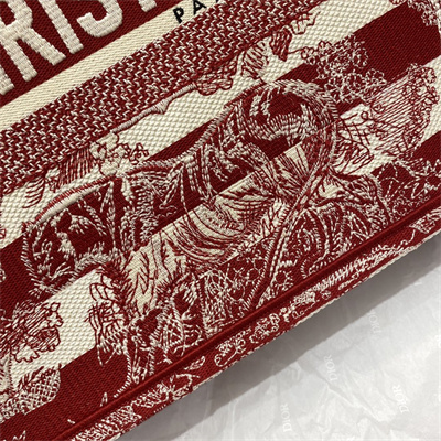 CD Medium Book Tote Stripes Toile de Jouy Embroidery White and Red