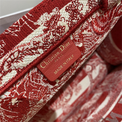 CD Medium Book Tote Stripes Toile de Jouy Embroidery White and Red