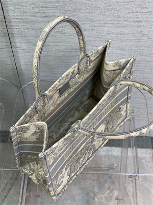 CD Medium Book Tote Toile de Jouy Embroidery Ecru and Grey