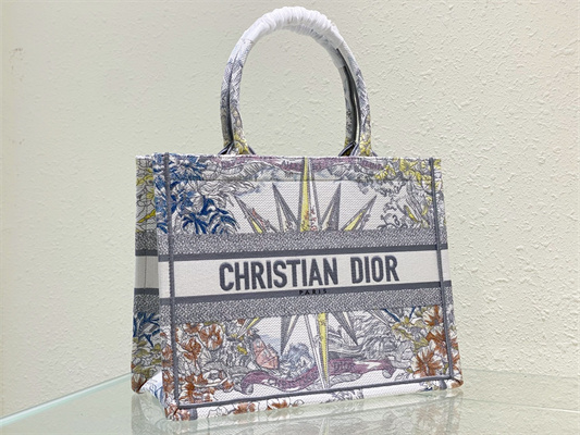 CD Medium Book Tote R??ve d’Infini Embroidery Grey
