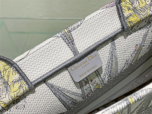 CD Medium Book Tote R??ve d’Infini Embroidery Grey