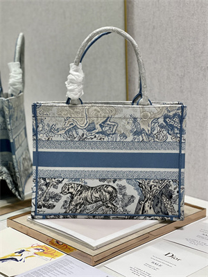 CD Medium Book Tote Gradient Toile de Jouy Embroidery Blue