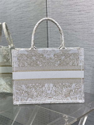 CD Medium Book Tote Butterfly Around The World Embroidery White and Gold Tone