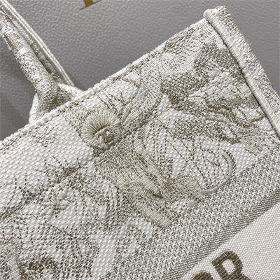 CD Medium Book Tote Toile de Jouy Embroidery White and Gold