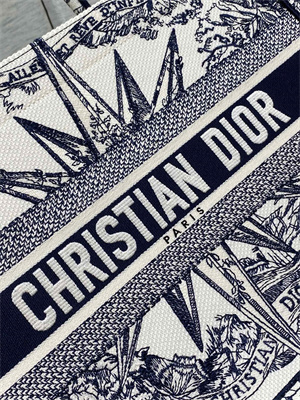 CD Medium Book Tote R??ve d’Infini Embroidery White and Blue