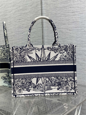 CD Medium Book Tote R??ve d’Infini Embroidery White and Blue