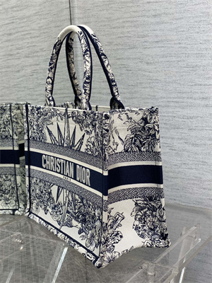 CD Medium Book Tote R??ve d’Infini Embroidery White and Blue