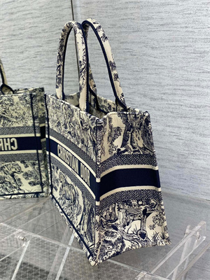 CD Medium Book Tote Toile de Jouy Embroidery Ecru and Blue