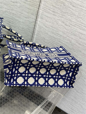 CD Medium Book Tote Beige and Blue Macrocannage Embroidery