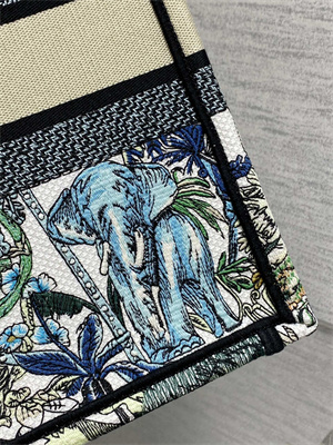 CD Medium Book Tote ??toile de Voyage Embroidery Green Multicolor