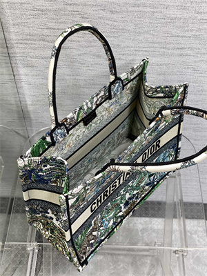 CD Medium Book Tote ??toile de Voyage Embroidery Green Multicolor