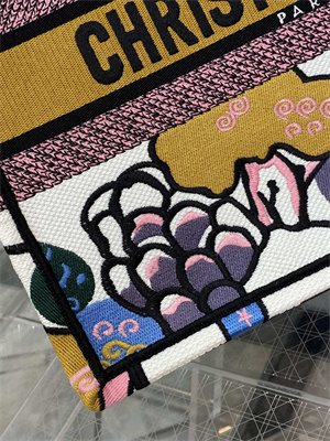 CD Medium Book Tote Ciel de R??ve Embroidery White Multicolor