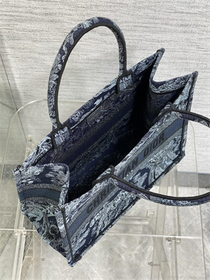 CD Medium Book Tote Toile de Jouy Embroidery Denim Blue