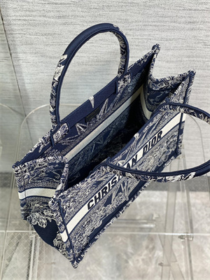 CD Medium Book Tote R??ve d’Infini Embroidery Blue and White