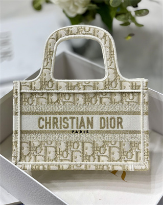 CD Mini Book Tote Oblique Embroidery White and Gold Tone