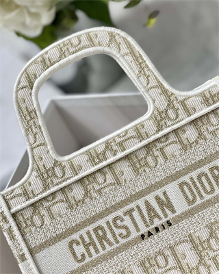 CD Mini Book Tote Oblique Embroidery White and Gold Tone