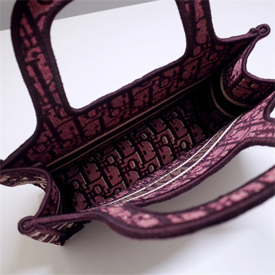 CD Mini Book Tote Oblique Embroidery Burgundy