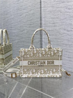 CD Mini Book Tote With Strap Oblique Embroidery White and Gold Tone