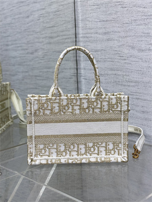 CD Mini Book Tote With Strap Oblique Embroidery White and Gold Tone