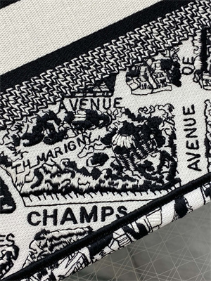 CD Small Book Tote White and Black Plan de Paris Embroidery