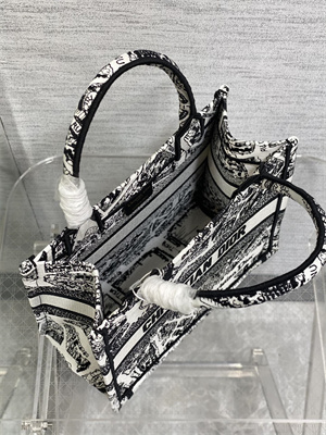 CD Small Book Tote White and Black Plan de Paris Embroidery