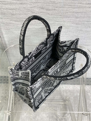 CD Small Book Tote Grey and Black Plan de Paris Embroidery