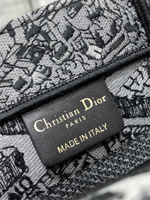 CD Small Book Tote Grey and Black Plan de Paris Embroidery