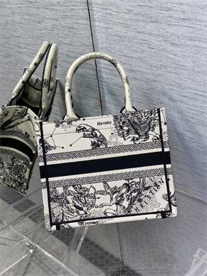 CD Small Book Tote Di.or Zodiac Embroidery Latte and Black